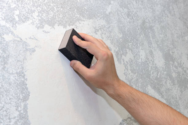 Best Emergency Mold Remediation  in Buhl, ID