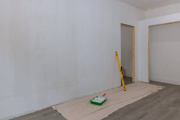 Best Attic Mold Removal  in Buhl, ID