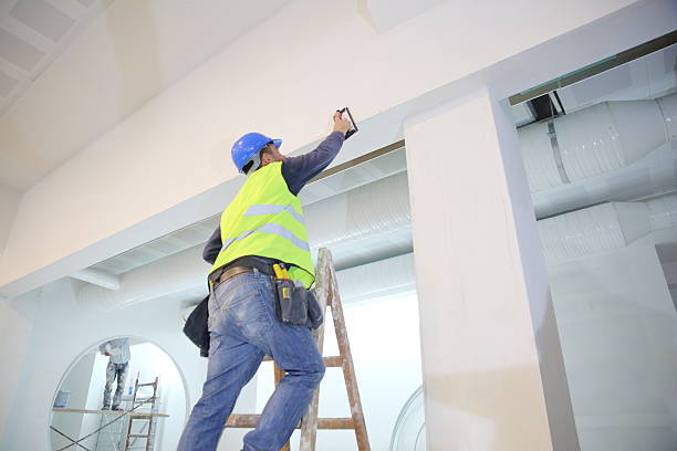 Best Dehumidification Services  in Buhl, ID