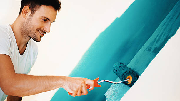 Best Mold Removal for HVAC Installations  in Buhl, ID