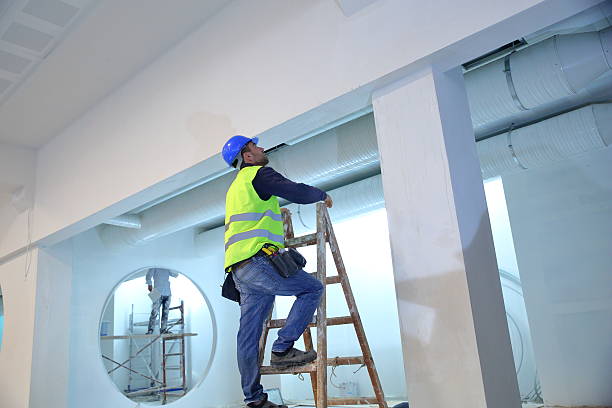 Best Post-Construction Mold Inspection  in Buhl, ID